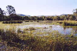 Round Swamp Victoria Valley